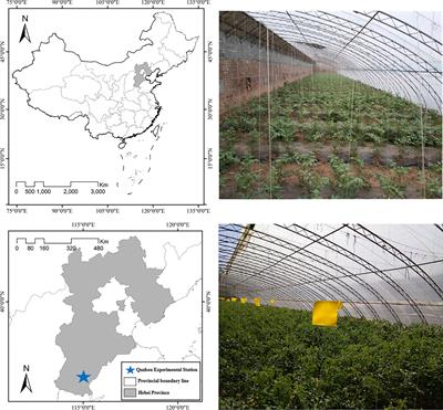 Effects of organic cultivation on soil fertility and soil environment quality in greenhouses